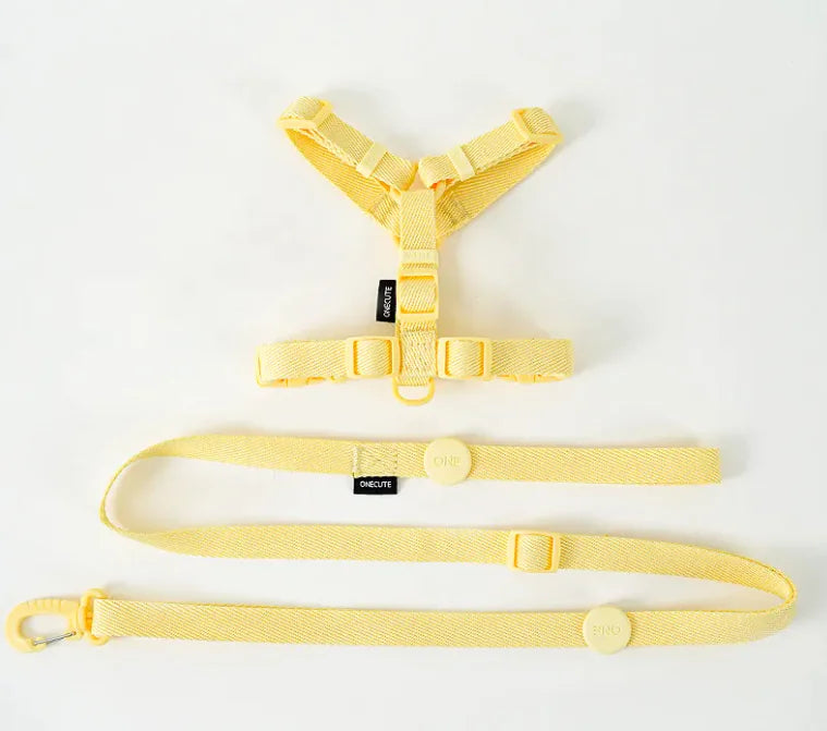 Set Peitoral e Trela Minimalista
