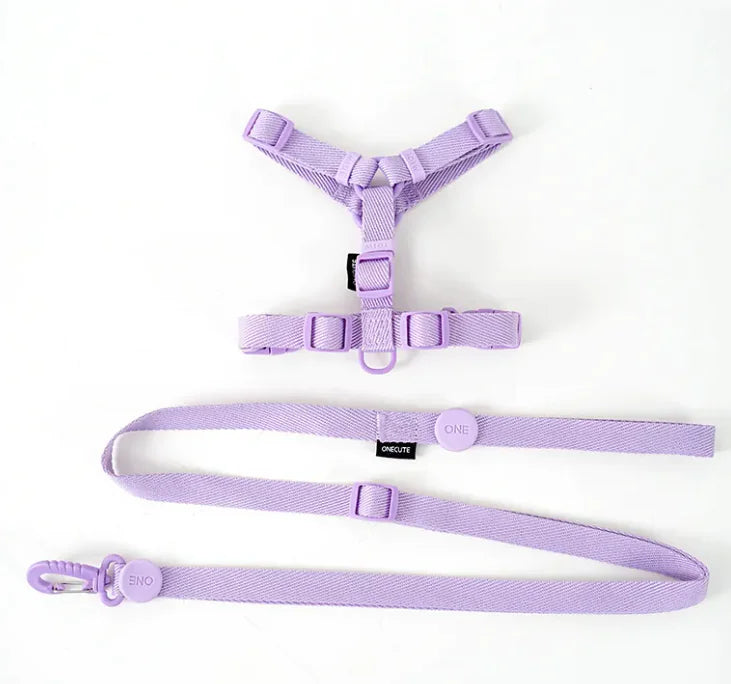 Set Peitoral e Trela Minimalista