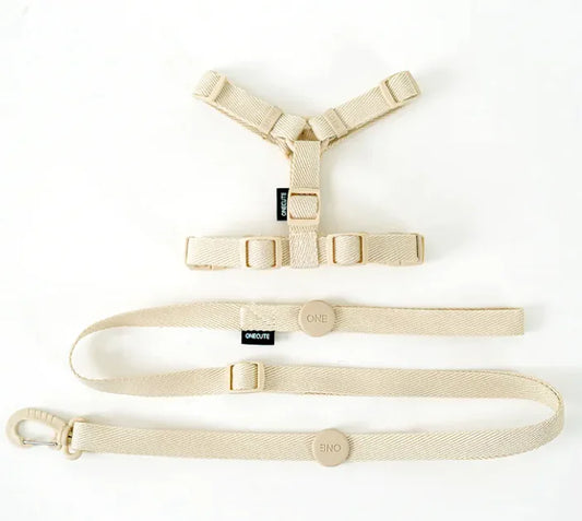 Set Peitoral e Trela Minimalista