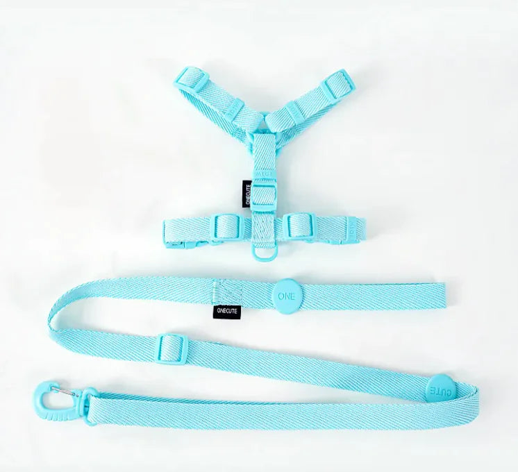 Set Peitoral e Trela Minimalista