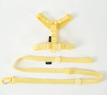 Set Peitoral e Trela Minimalista